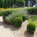 Kawalerka, Apartamenty Srebrna, Kolonia Jasna, Pszczyna, AS-2