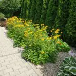 Kawalerka, Apartamenty Srebrna, Kolonia Jasna, Pszczyna, AS-1