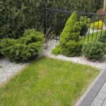 Mieszkanie na wynajem Pszczyna, Kawalerka, WZ-2