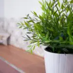 Kawalerka, Apartamenty Srebrna, Kolonia Jasna, Pszczyna, AS-1