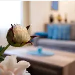 Mieszkanie na wynajem Pszczyna, Kawalerka, WZ-2