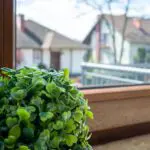 Kawalerka, Apartamenty Srebrna, Kolonia Jasna, Pszczyna, AS-3