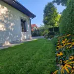 Mieszkanie do wynajęcia w Pszczynie, Kawalerka, WZ-6