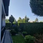 Mieszkanie do wynajęcia w Pszczynie, Kawalerka, WZ-6