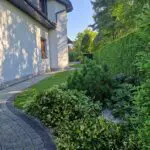 Mieszkanie do wynajęcia w Pszczynie, Kawalerka, WZ-6