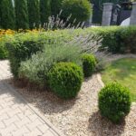 Kawalerka na wynajem w Pszczynie, Apartamenty Srebrna, AS-5