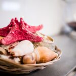 Kawalerka, Apartamenty Srebrna, Kolonia Jasna, Pszczyna, AS-2