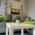 Duże mieszkanie na wynajem w Pszczynie, połowa domu, SER-1