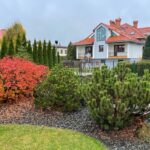 Duże mieszkanie na wynajem w Pszczynie, połowa domu, SER-1