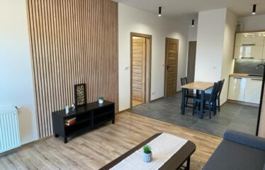 2 pokoje na wynajem w centrum Katowic, Koszutka KAT-ST-20-47