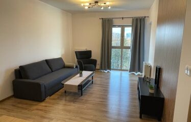 2 pokoje na wynajem w centrum Katowic, Koszutka KAT-ST-20-47