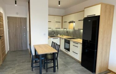 2 pokoje na wynajem w centrum Katowic, Koszutka KAT-ST-20-47