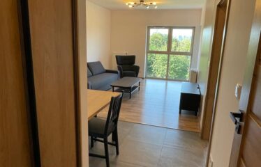 2 pokoje na wynajem w centrum Katowic, Koszutka KAT-ST-20-47