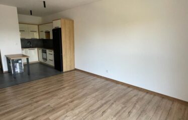 Mieszkanie 2-pokojowe, Osiedle Słoneczne Tarasy, Dzielnica Koszutka, Katowice, KAT-ST-20-45