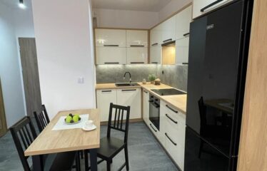 Mieszkanie 2-pokojowe, Osiedle Słoneczne Tarasy, Dzielnica Koszutka, Katowice, KAT-ST-20-46