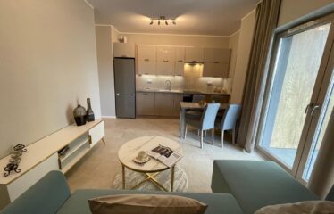 Mieszkanie na wynajem Katowice 3 pokoje KAT-42