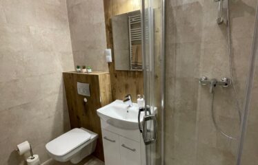 Mieszkanie na wynajem Katowice 3 pokoje KAT-42