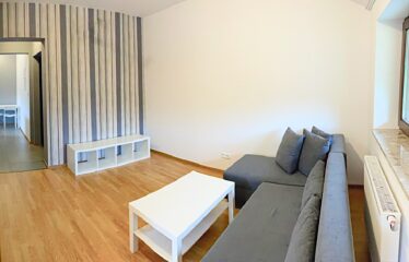 Pokój dzienny w mieszkaniu 45 m² w Brennej