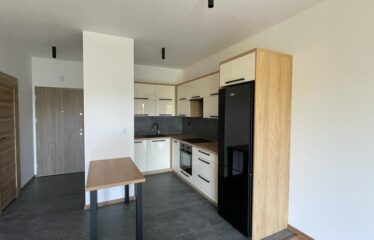 Mieszkanie 2-pokojowe, Osiedle Słoneczne Tarasy, Dzielnica Koszutka, Katowice, KAT-ST-20-45